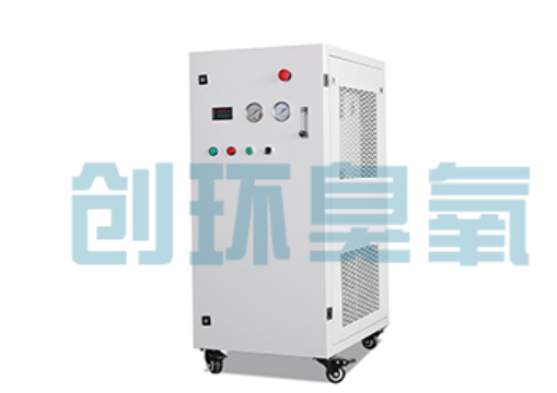 鹿泉石斑鱼养殖水质调控完整指南：臭氧发生器配置与操作步骤