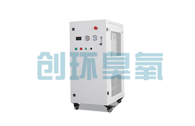 鹿泉比传统换水更高效？臭氧发生器在石斑鱼养殖中的水质净化原理解析